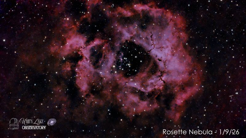 Rosette Nebula, mosaic