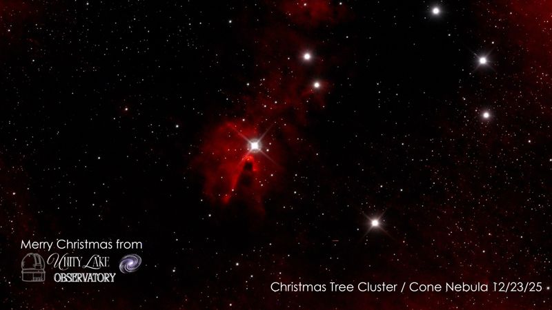 Christmas Tree Cluster and Cone Nebula