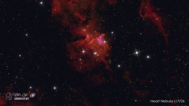 Heart Nebula
