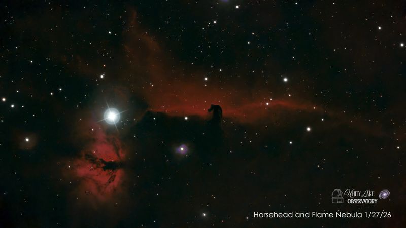 Horsehead and Flame Nebulae