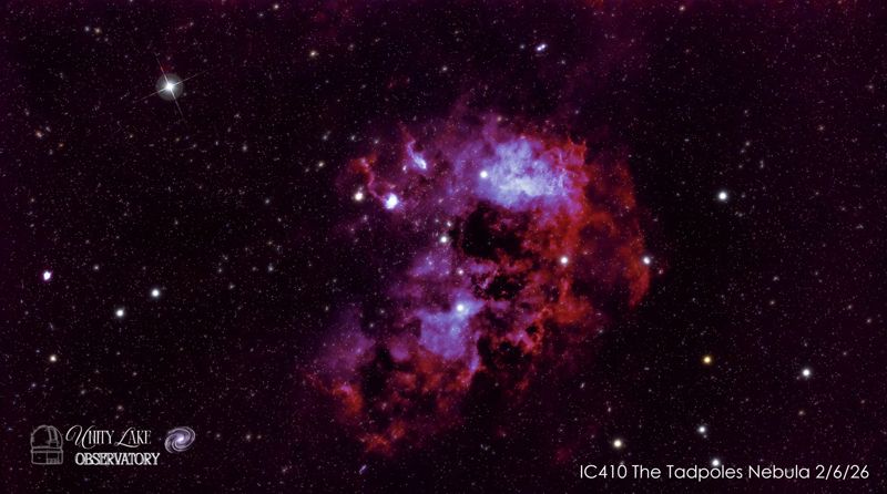 Tadpoles Nebula