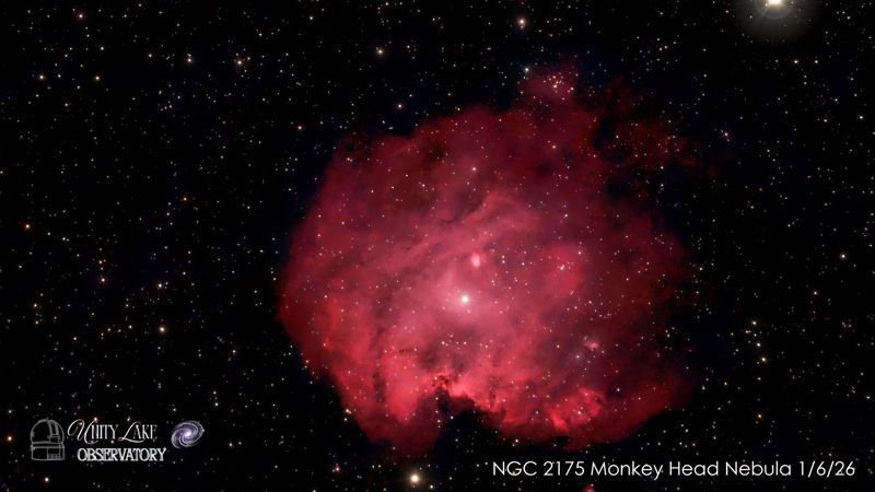 Monkey Head Nebula