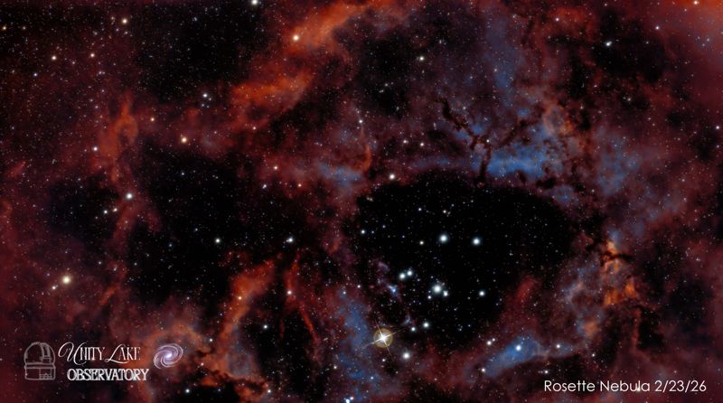 Rosette Nebula