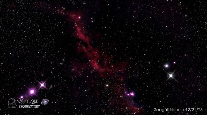 Seagull Nebula