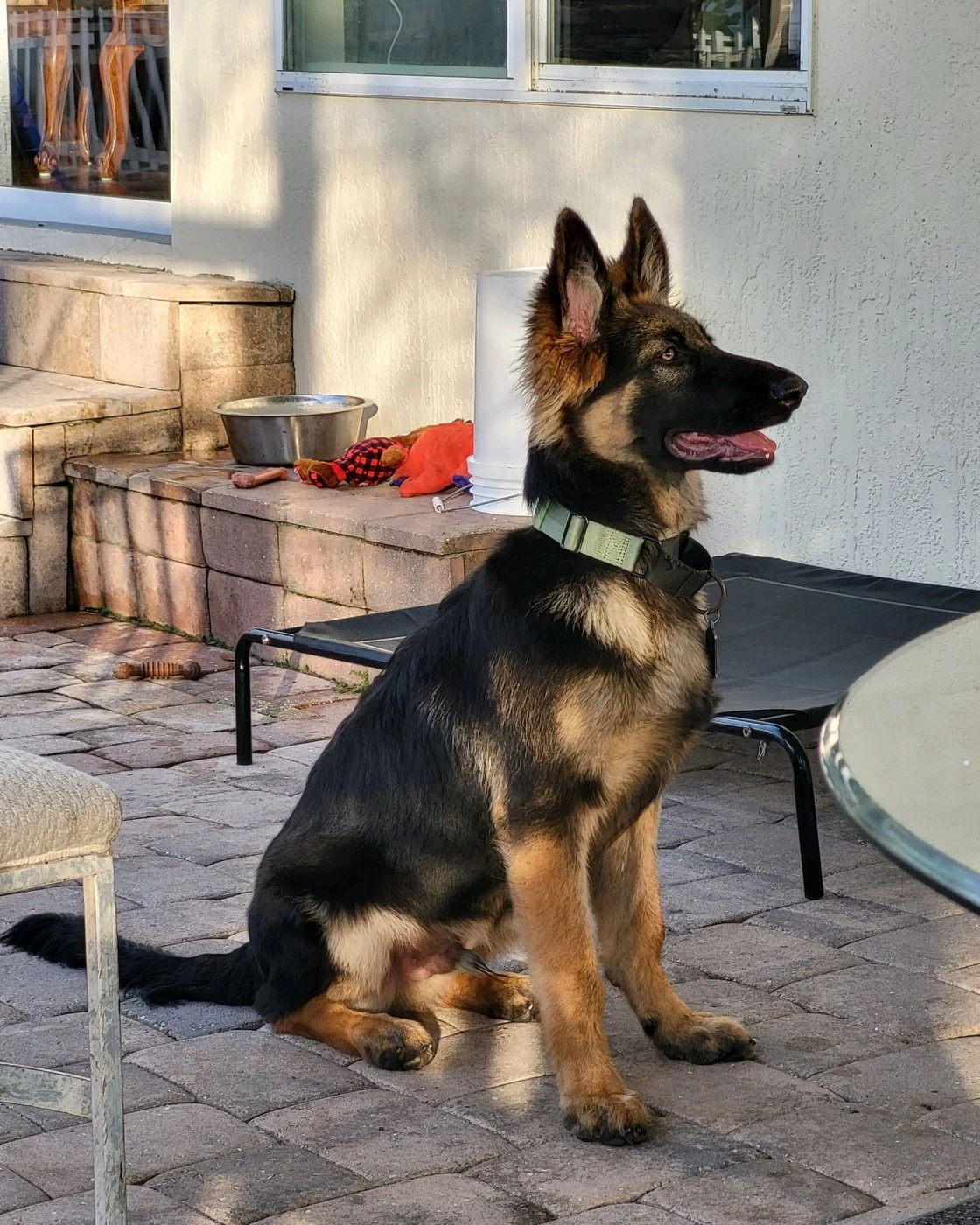 Standing watch