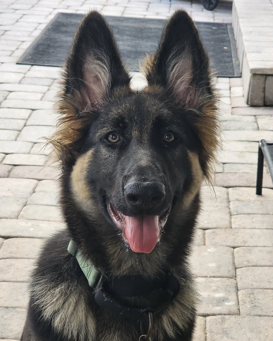 Reporting for duty
