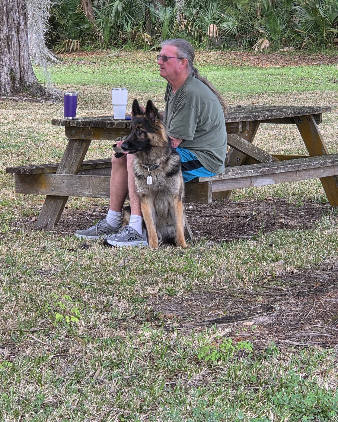 Picnic table break